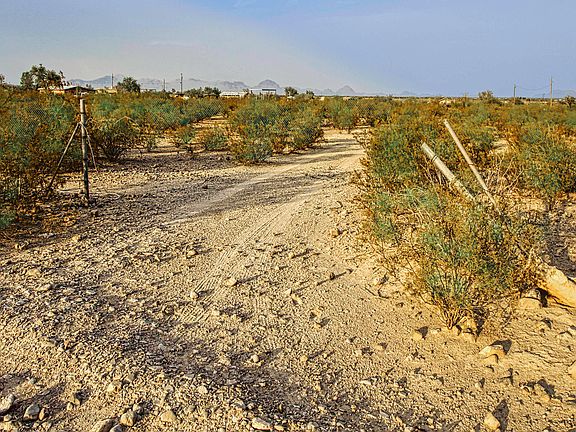 4th image of 17660 Old West Cactus Trl