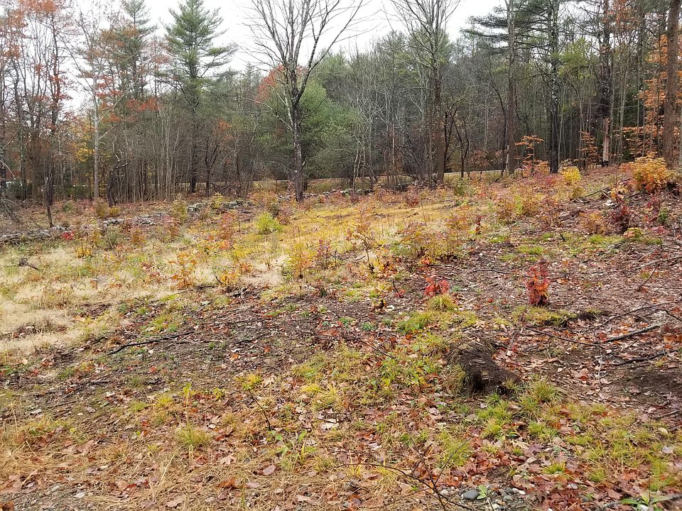 2nd image of Lot #1 Pindo Polara Road