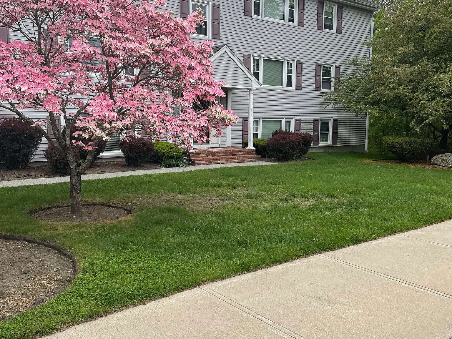 2 bed, 900 sqft, $2,095 — Photo 1