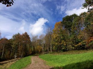 2878 Wolf Hollow Rd, Andes, NY 13731