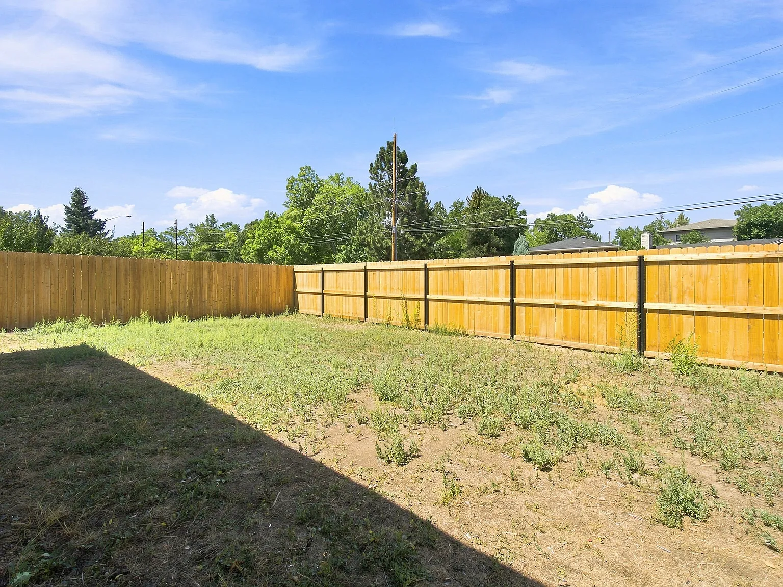 2 bed, 975 sqft, $2,000 — Photo 3