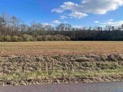 Blessing Rd, Boaz, AL, 35957