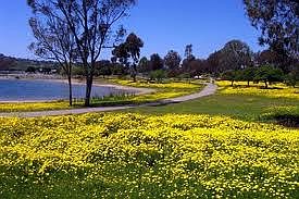 Lake Murray