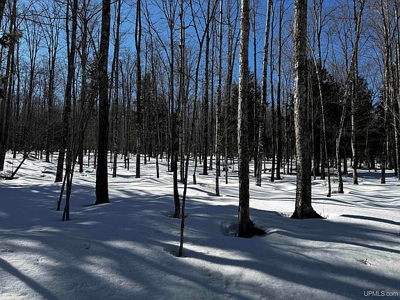 5th image of Lower Skanee Rd