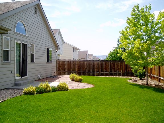 Backyard 1