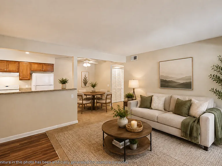 1 Bedrom 1 Bathroom - Living Room