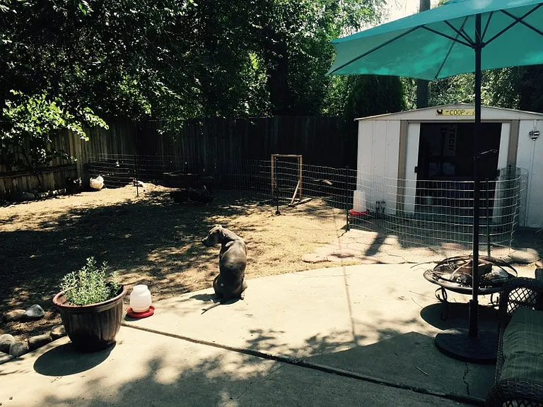 932 E Hillview Dr #1 — Photo 15