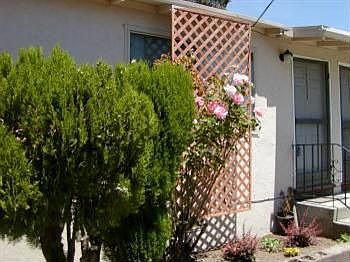 1st image of 17333 Malek Ln