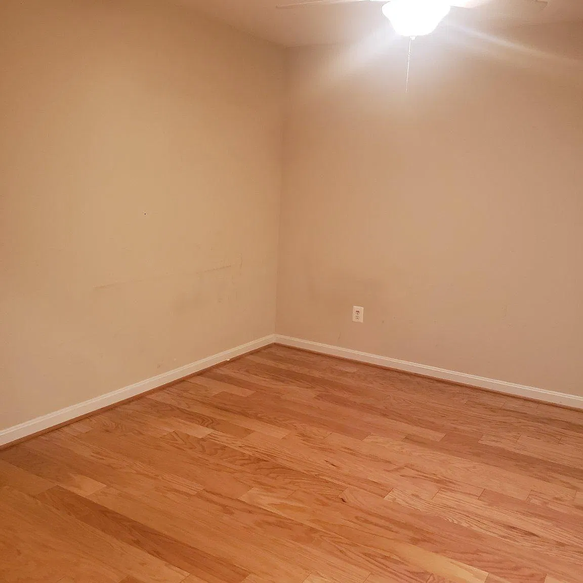 1 bed, 1.0 bath, 3957 sqft, $1,500 — Photo 3