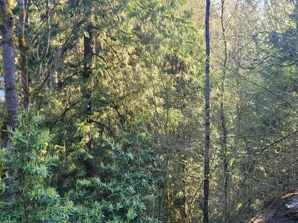 1317 Wildwood Boulevard SW, Issaquah, WA 98027