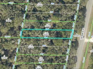 Treiman Boulevard Lot #C38, Webster, FL 33597