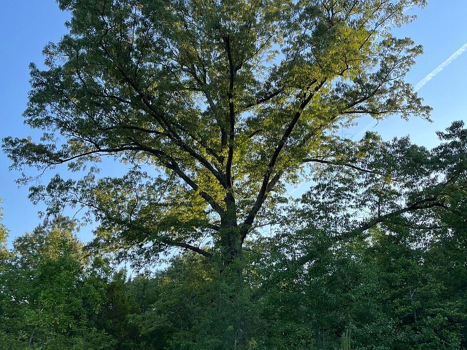 1st image of Merrybell Ln