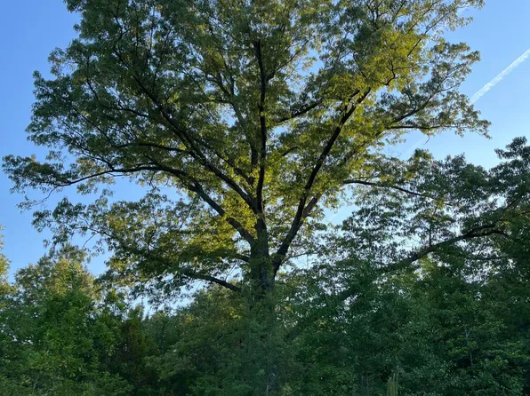 Merrybell Ln, Saint Matthews, SC 29135