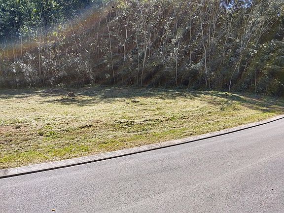 5th image of 11 Hidden Trl Lot 11