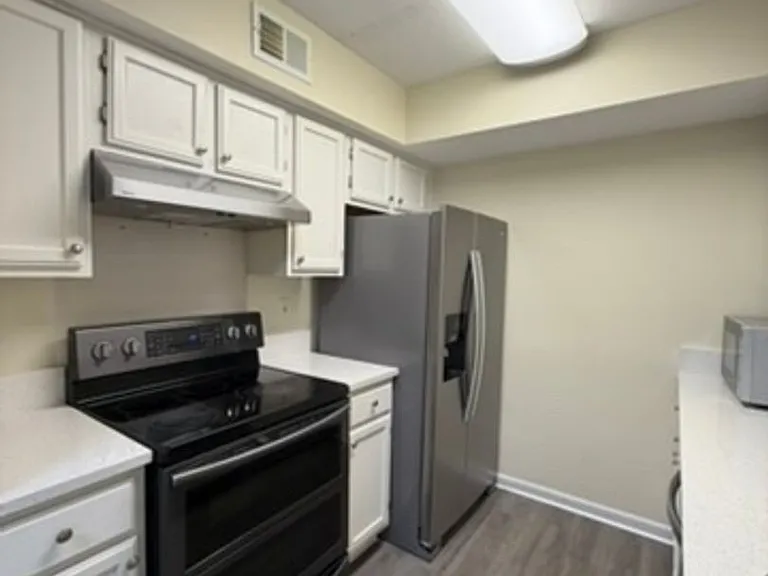 4100 Dancing Cloud Ct #271 — Photo 3