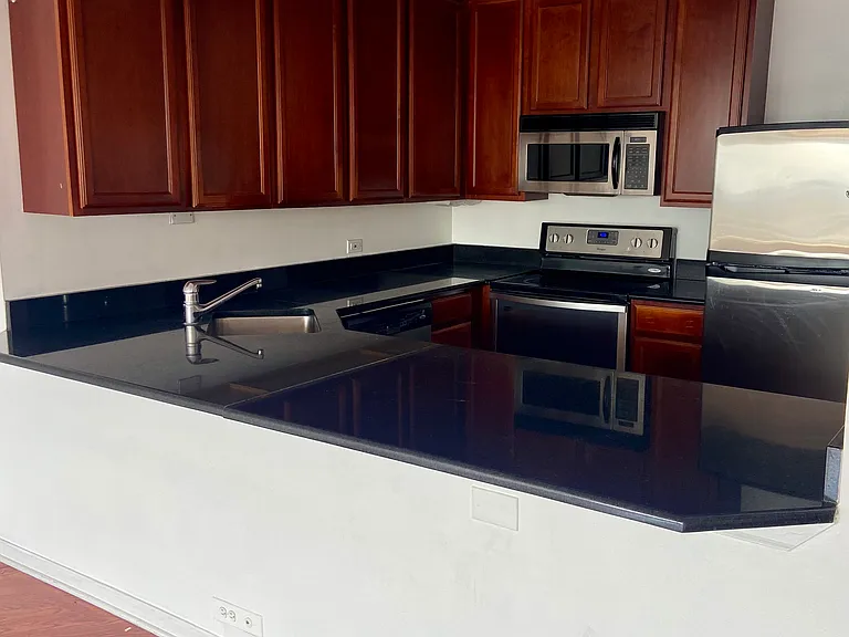 525 W Hawthorne Pl #2103 — Photo 4