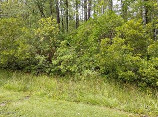 905 River Reach Ct, New Bern, NC 28560