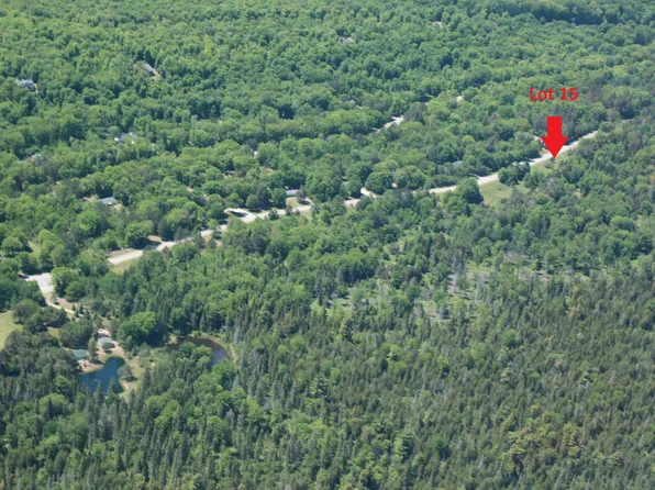 15 S Daisys Way, Kinross, MI 49752