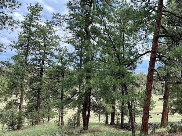 000 18th Trail, Cotopaxi, CO 81223