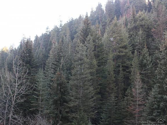 5th image of 0 Pinecreek Rd