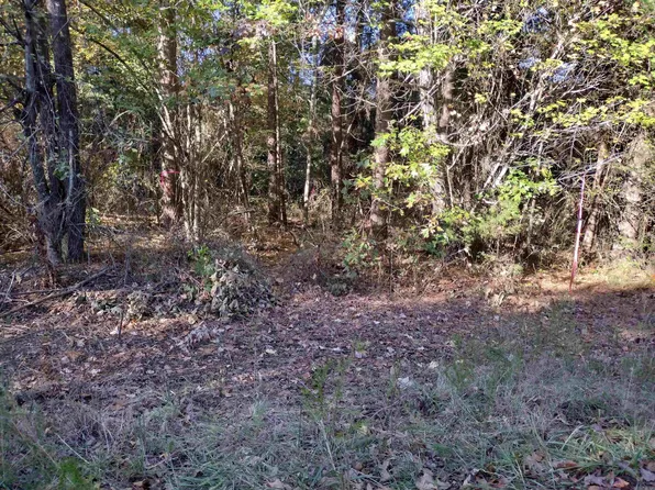 (undisclosed Address), Mountain View, AR 72560
