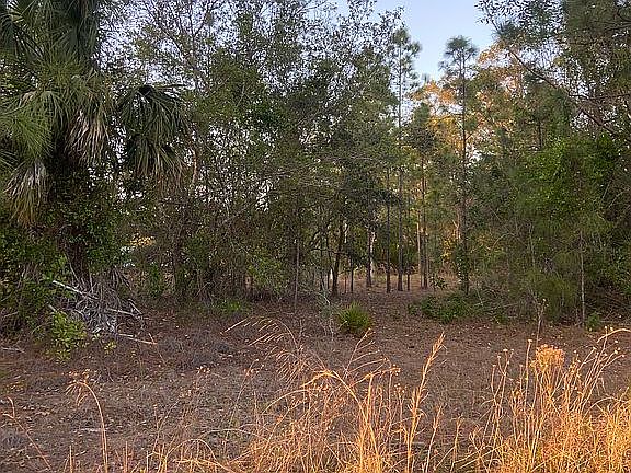 4th image of 28174 Chinquapin Dr