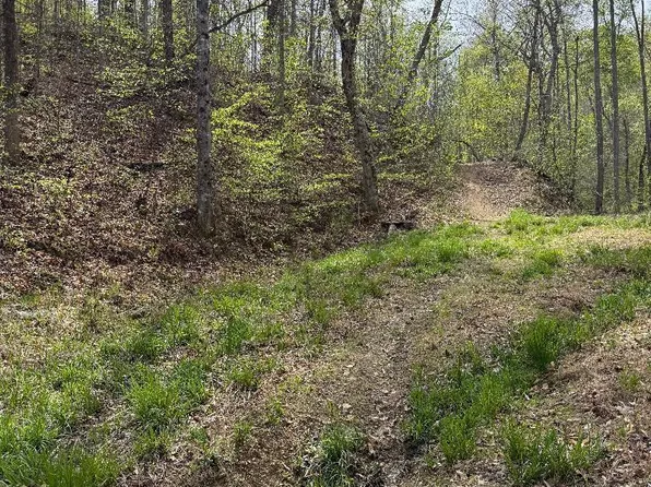 0 Pine Mountain Rd, Rogersville, TN 37857