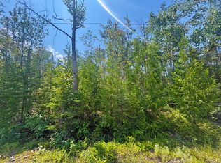 LOT 64 N Bay Ct, Presque Isle, MI