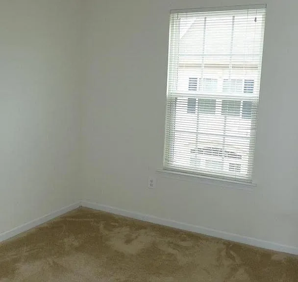 7218 Sugar Magnolia Ln — Photo 21
