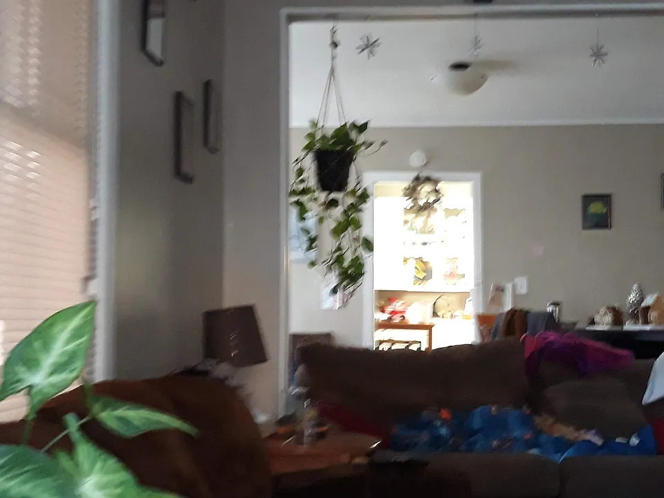 9 William St #1