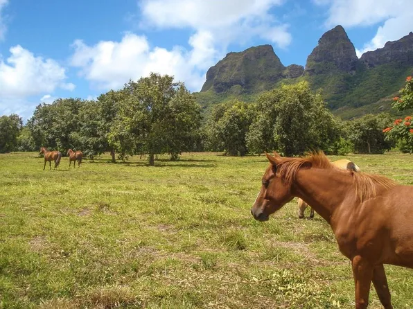 Hui Rd, Kapaa, HI 96746