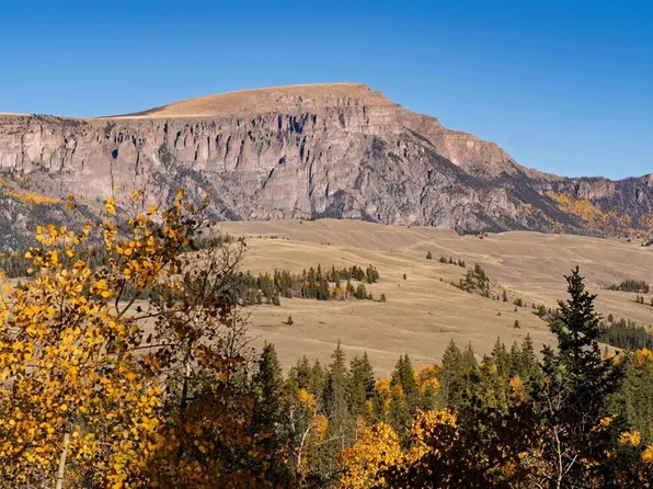 32229 Bristol Head Drive, Creede, CO 81130