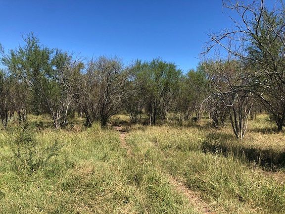 5th image of 99 County Road 503