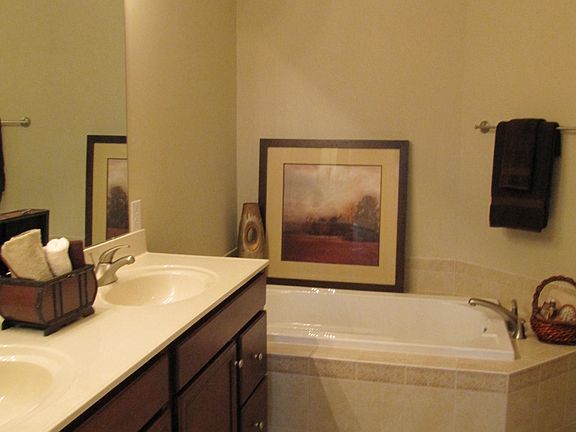Master Bathroom Stall Shower/Tub