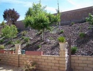 3rd image of 420 Steiner Dr