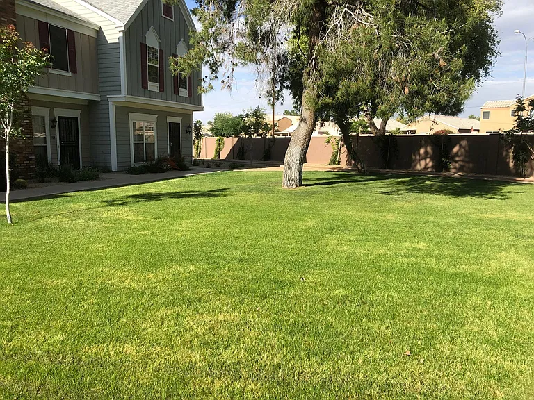 1601 N Saba St #281 — Photo 3