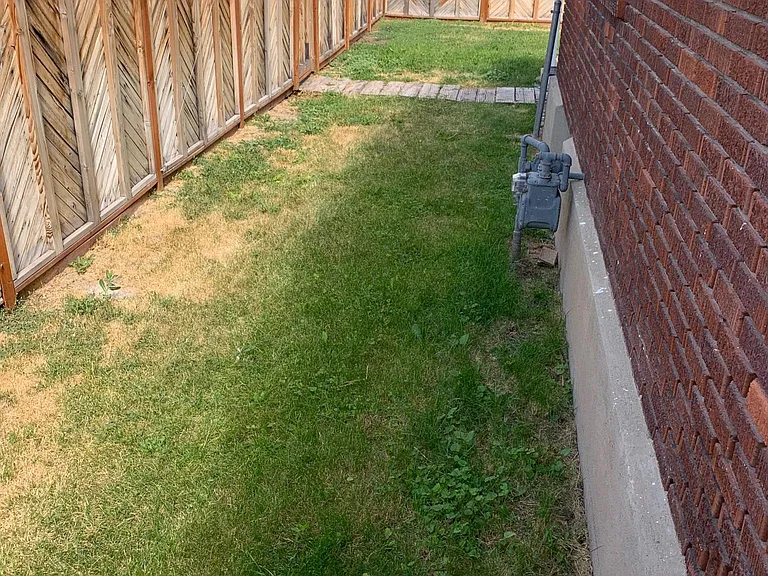 Side yard - Good Length for Zoomies