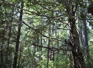 9217 Country Rd, Georgetown, CA 95634