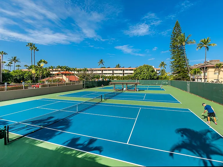 2695 S Kihei Rd #8101 — Photo 29