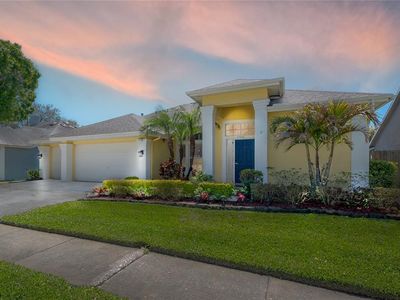12406 Bristol Commons Cir, Tampa, FL, 33626