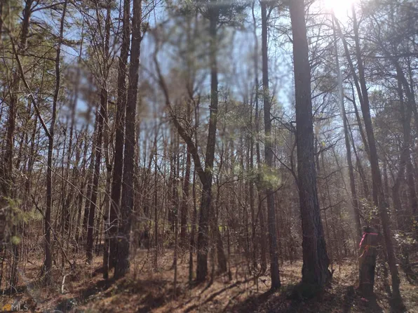 8 Rose Hill Rd, Meansville, GA 30256