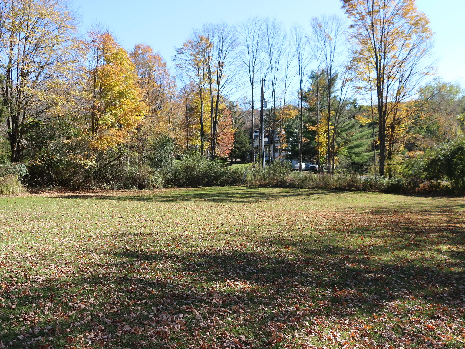 2 bed, 800 sqft, $1,450 — Photo 4