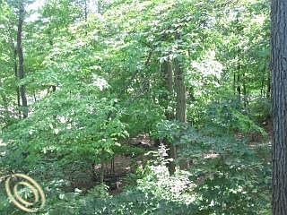 4th image of 4774 Crestview Ct