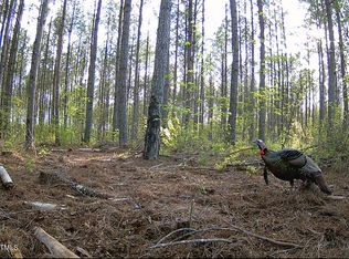 0 Richardson Rd, Warrenton, NC 27589