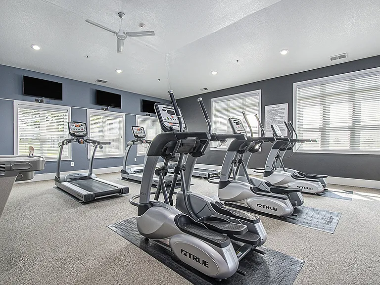The Reserve at Destination Pointe — Photo 37