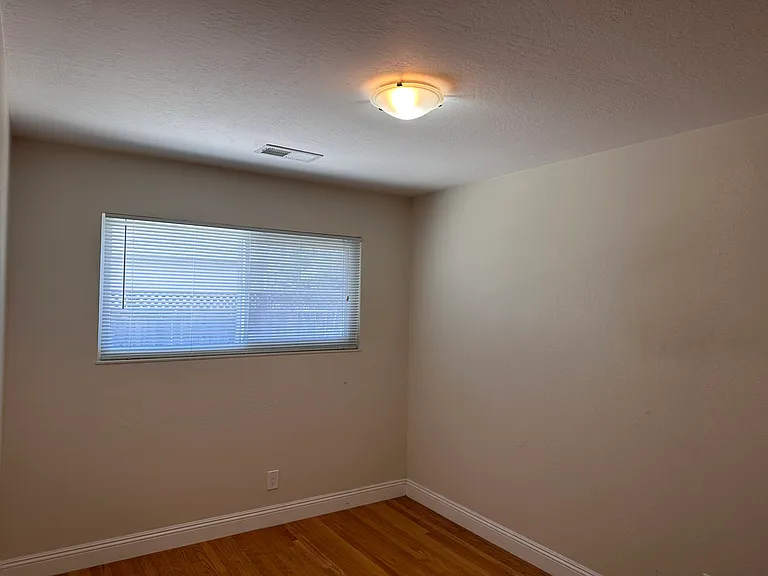 2913 Daisy Ct — Photo 8
