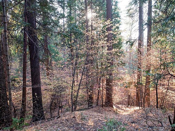 2nd image of 1224 Wawona Way