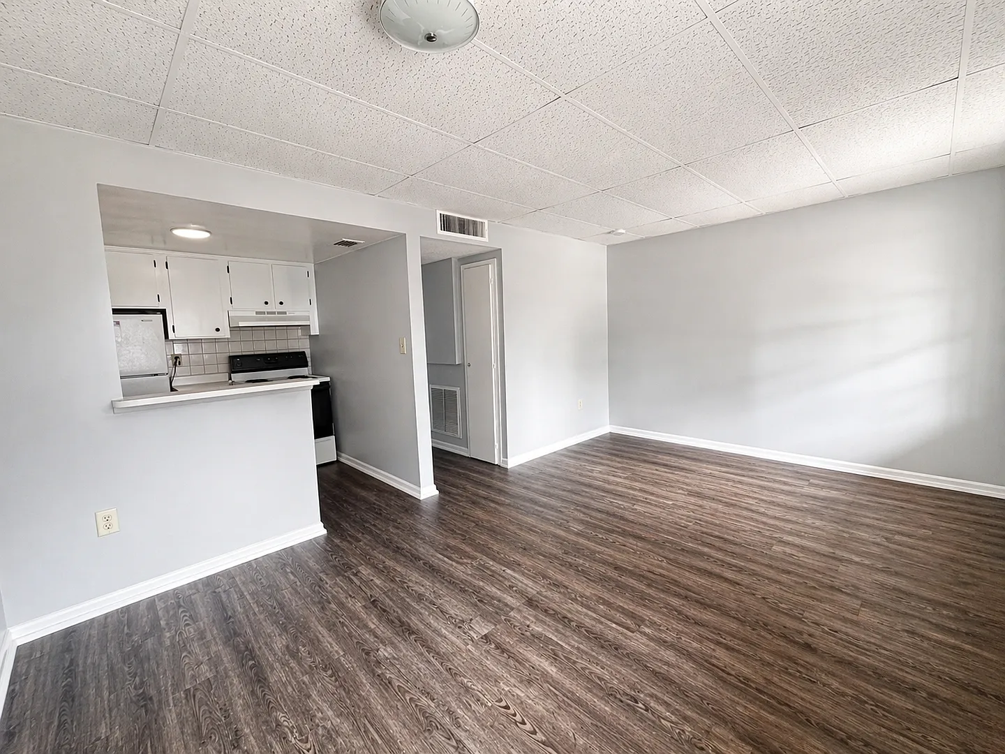 Spacious Remodeled 1BR/1BA Apartment with Beautiful New LVT Flooring — Photo 1