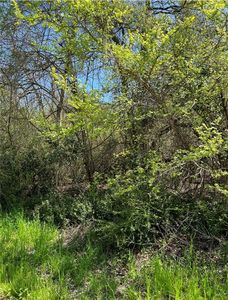 Bowie & Newton, Cameron, TX, 76520