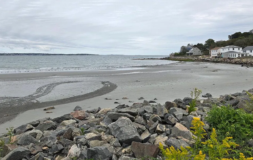 155R Nahant Rd #2